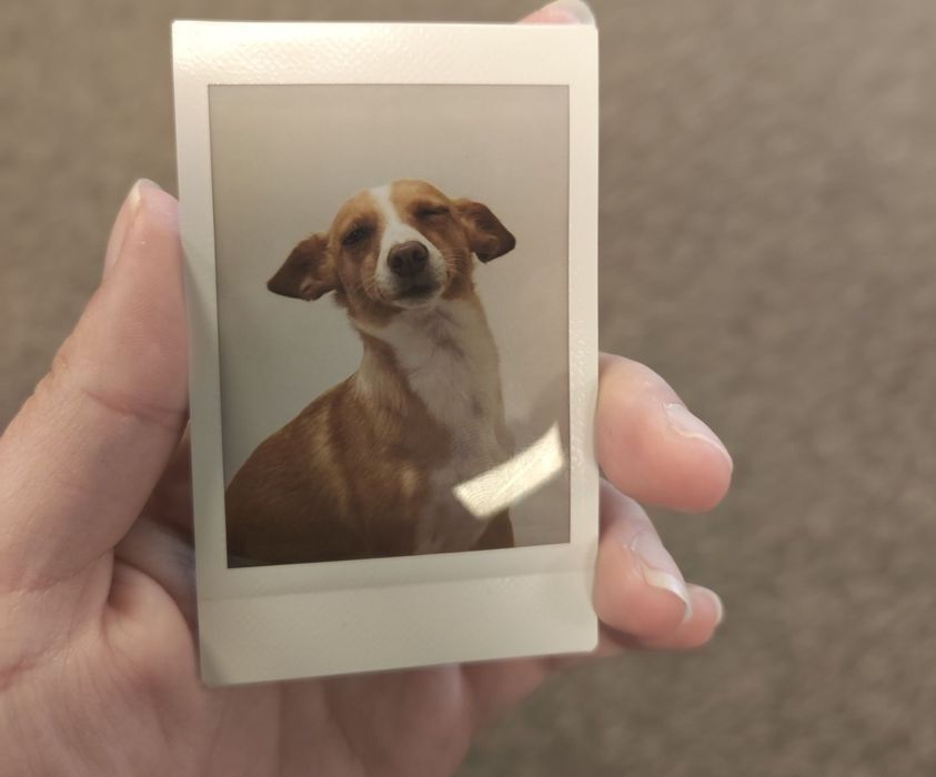 Fotos Instax impressas
