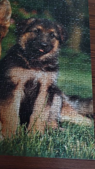 Puzzle 1000 sztPsy.Ravensburger kompletne