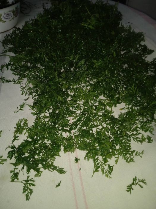 Засіб від діабету 2 типа.працює одразу