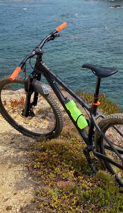 NS Bikes eccentric alu Evo