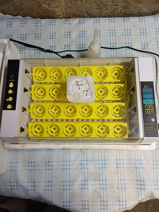 Inkubator  do jaj