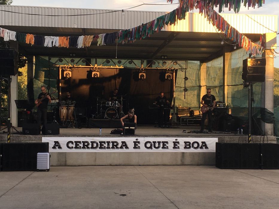 Aluguer de som e luz dj bandas arraiais festas aniversários Dj pioneer