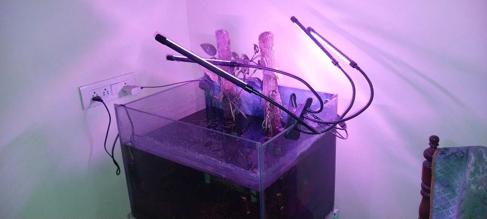 Фітолампа для рослин Grow Light Повний спектр (4 голови) + Таймер