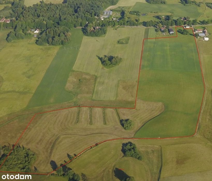 Działka rolna na Warmi 118.000m2 bez pośredników.