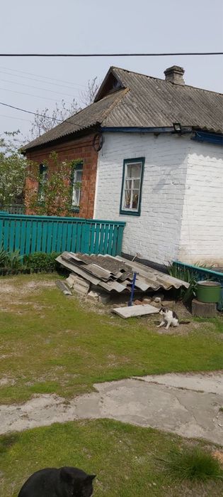 Продам будинок с Вельбівка, Запсільське