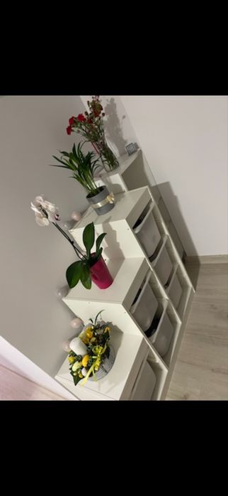Trofast regal ikea z pudelkami