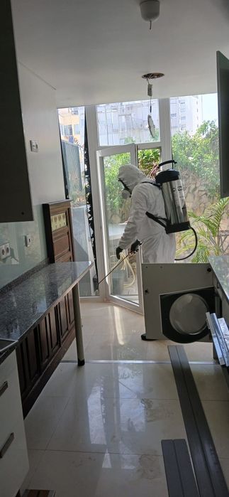 Desinfestação de baratas