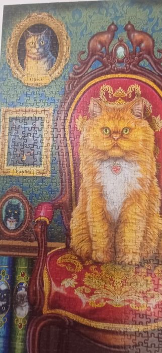 Puzzle trefl 1000 elementów Kotomania