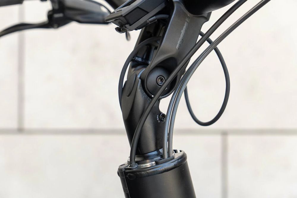 Rower Cargo elektryczny Urban Arrow Family Performance Line Essenti...
