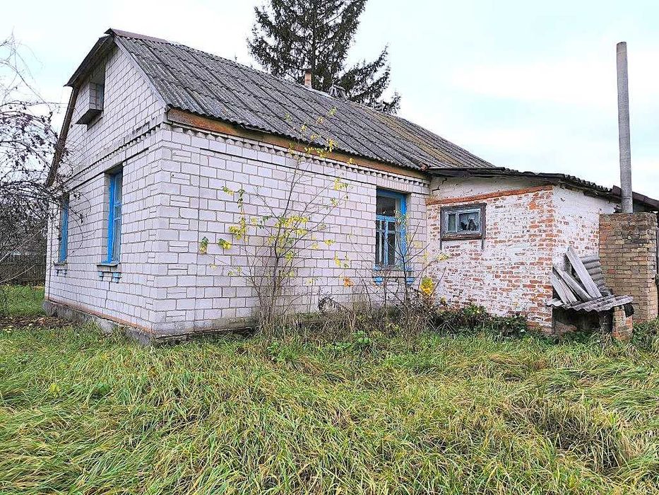 Жилий будинок та 29сот. в с.Бишів.Розвинена інфраструктура.Київ 40км.