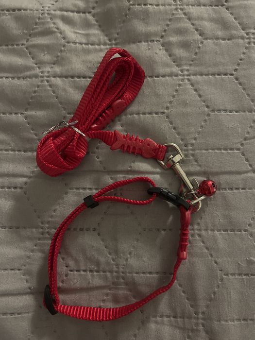 Ошейник з повідцем новий для кота собаки шлея с поводком