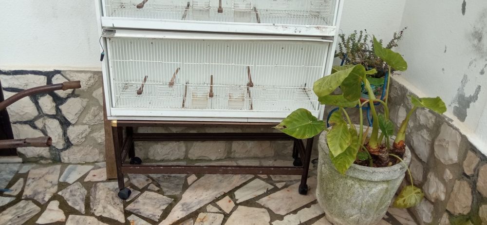 Troca viveiros por passaros