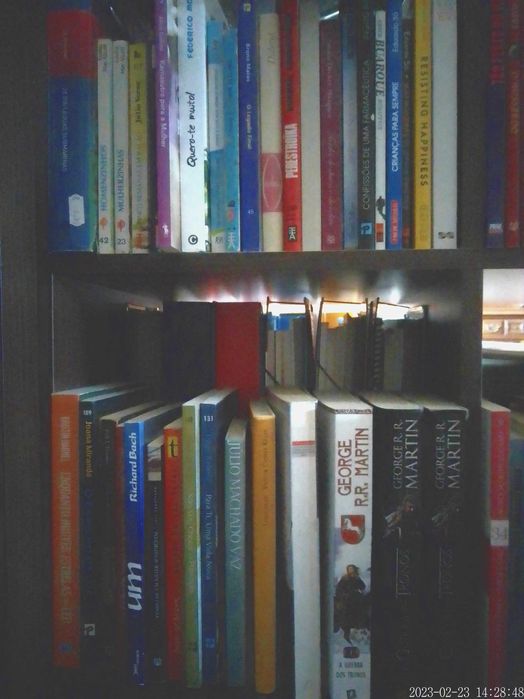 LIVROS Diversos VENDIDOS EM SEPARADO - Vários Preços Q17-22