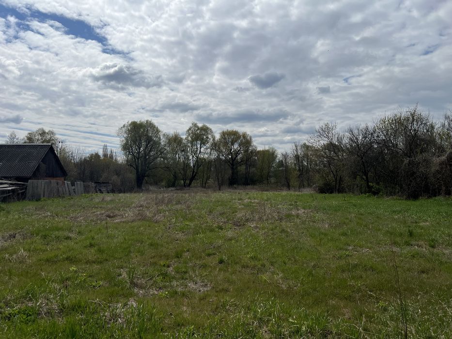 Земельна ділянка