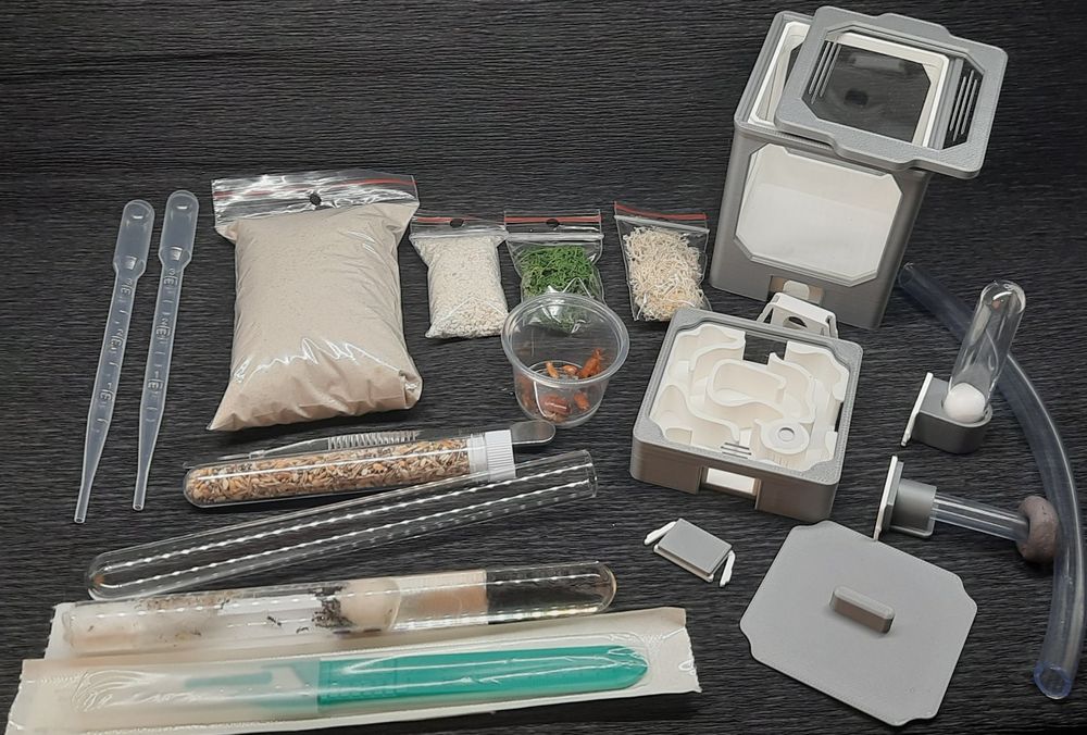 Akcesoria z zestawu do hodlwi mrówek