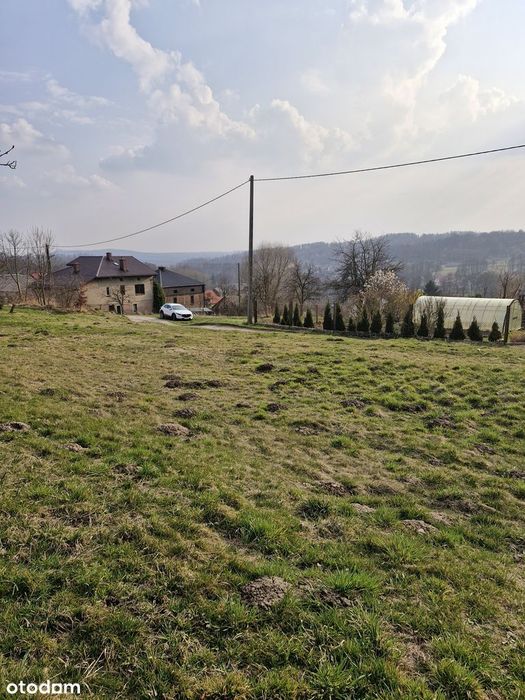 Działka, Filipowice