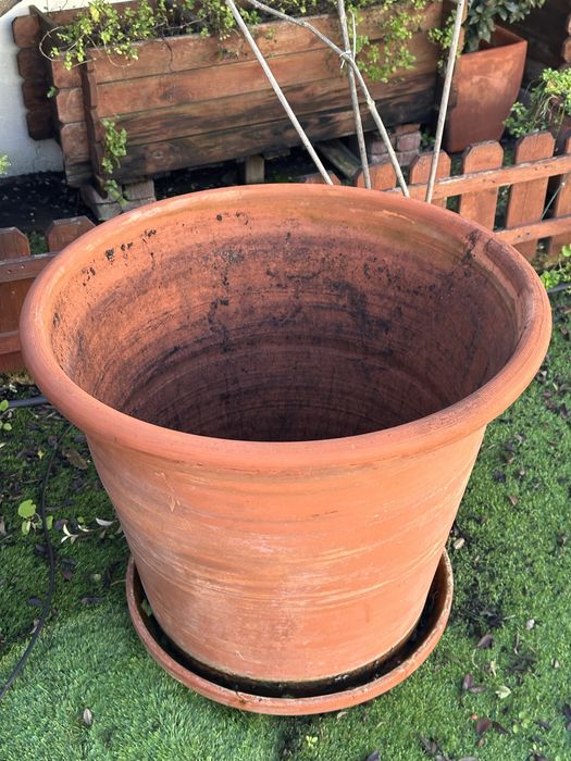 Vaso grande em terracota com prato
