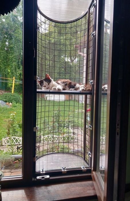 Балкон для котів з 1,2поверхом