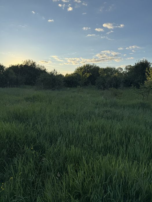 Продаж ділянки 9,24 сотки в с. Зазим’я, Броварський район