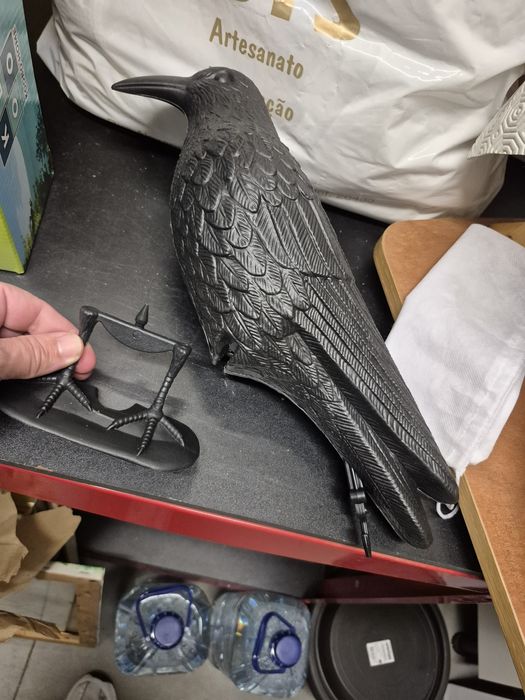 1 Corvo espanta pássaros