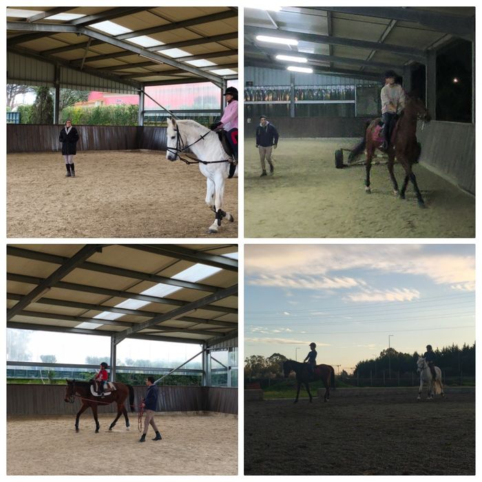 Cavalos a penso/Aulas de equitação