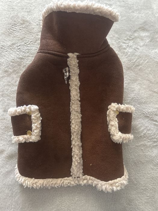 Одежда для собак