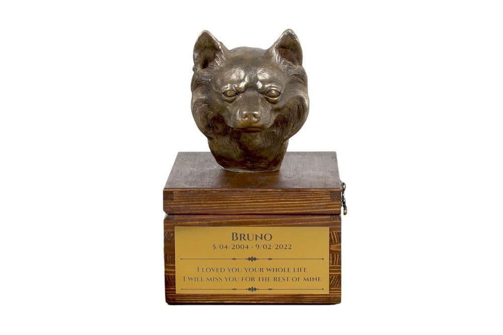 Chihuahua długowłosy urna na skrzynce brązowa Art-Dog