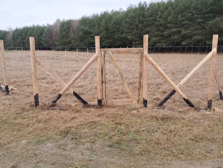 Ogrodzenie budowlane tymczasowe leśne już 16 zł. mb Gniewino i okolice
