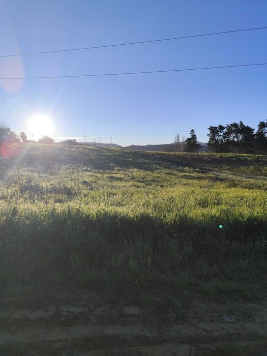 Terreno urbano para construção torres vedras