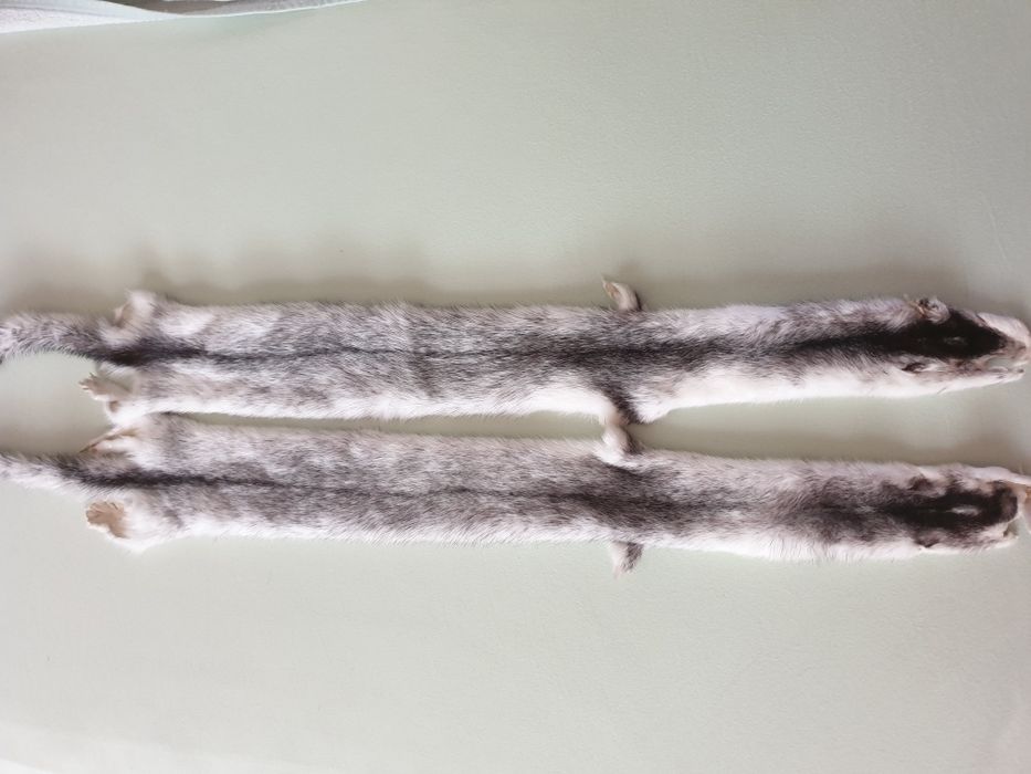 Шкурки норка крестовка