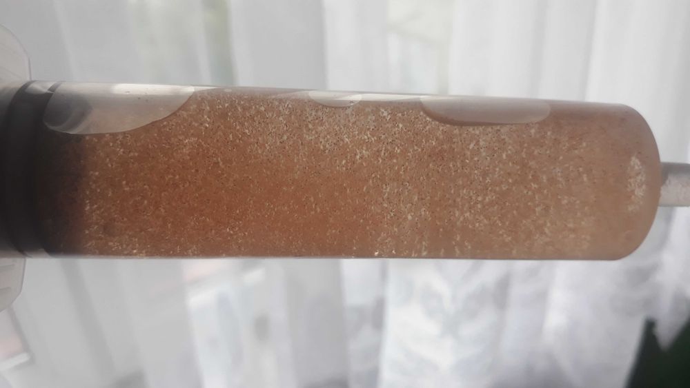Oryginalna artemia do wylęgu  Korak cysts 95%