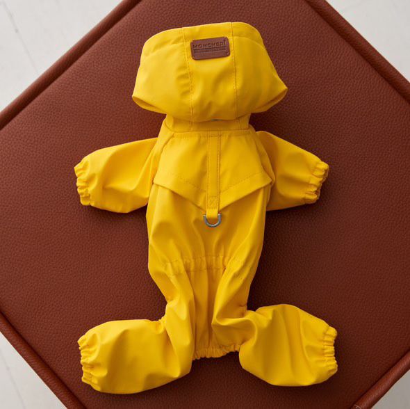 Дощовик для собачки, вагою 2-2,5 кг приблизно