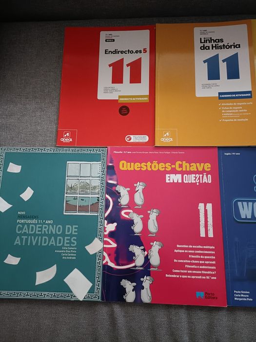 Cadernos de atividades 11⁰ Ano