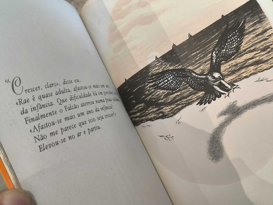 Não Há Longe Nem Distância
de Richard Bach