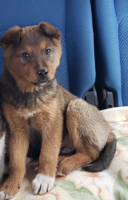 Малыш в хорошие руки!