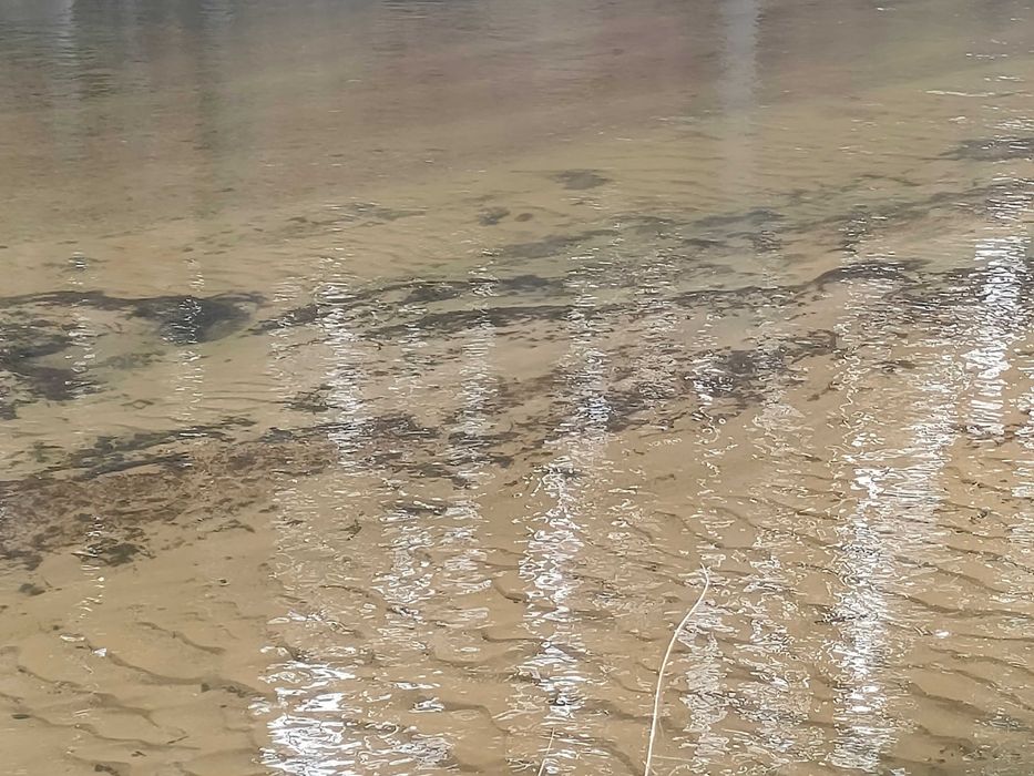 Zakole rzeki Wdy.Ostatnia działka z linią brzegową rzeki Wdy .Prąd