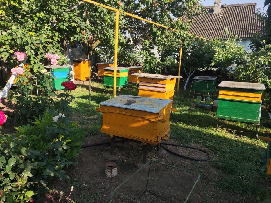 Продам улья по ненадобности