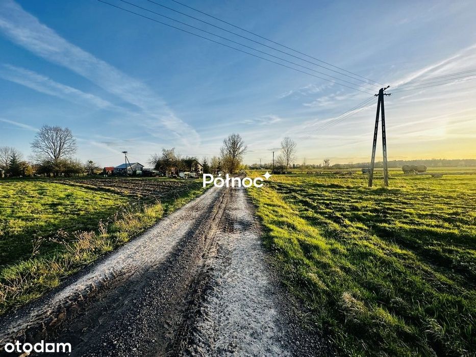 Działka rolni-budowlana 2,95h Żalin, gm. Ruda-Huta - Widok 2