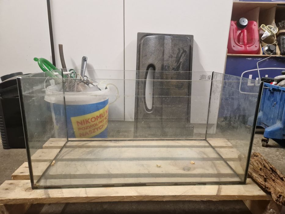 Terrarium z pokrywą