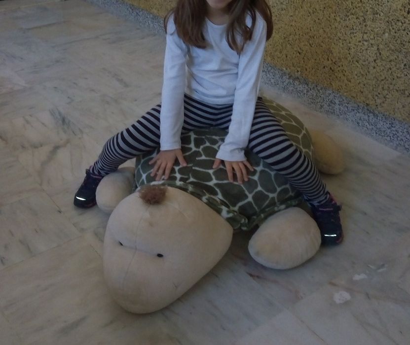 Pelúcia tartaruga431152909884467202