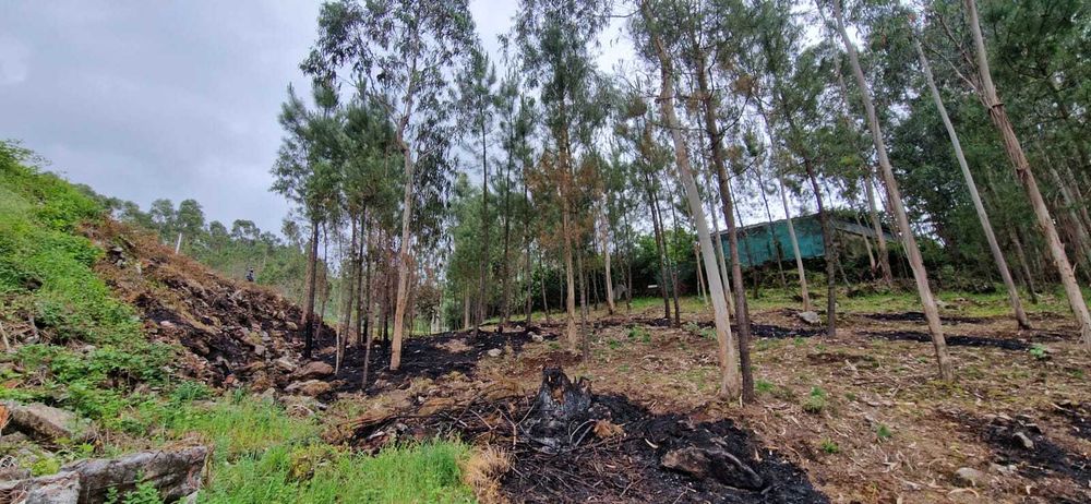 Terreno para construção com 5000m2 com projeto ja aprovado