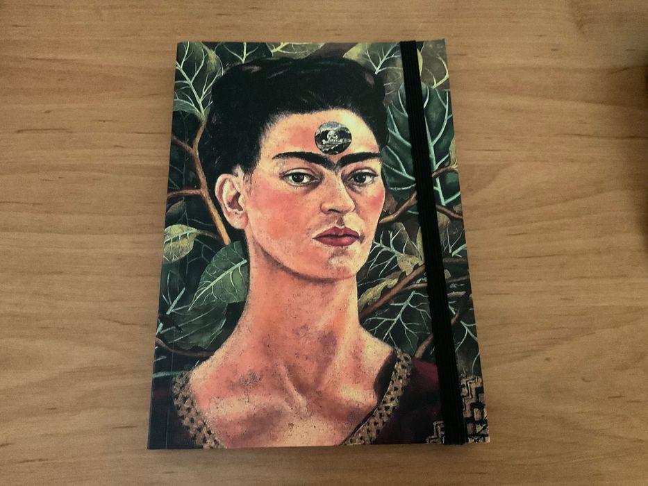 pasta pele nova, caderno A5 100 fls