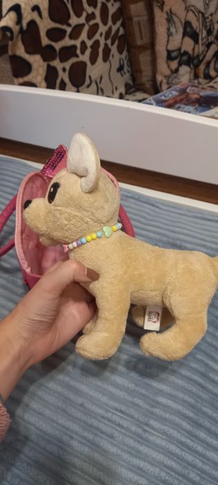 Чічі Лав в сумочці