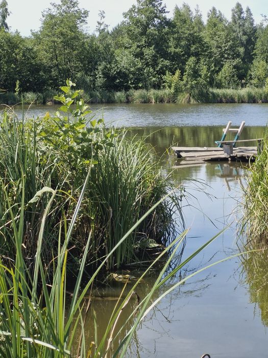 Земельна ділянка з прямим виходом на  водоймище та ліс