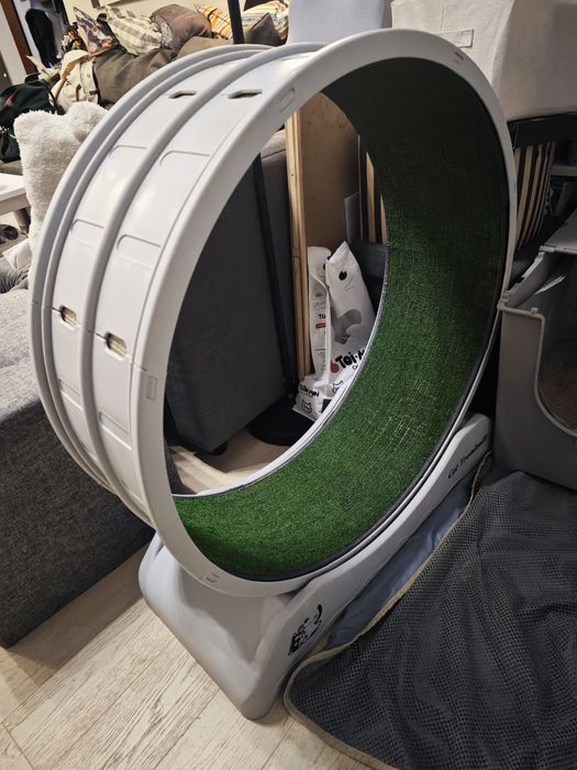 Koło do biegania dla kota