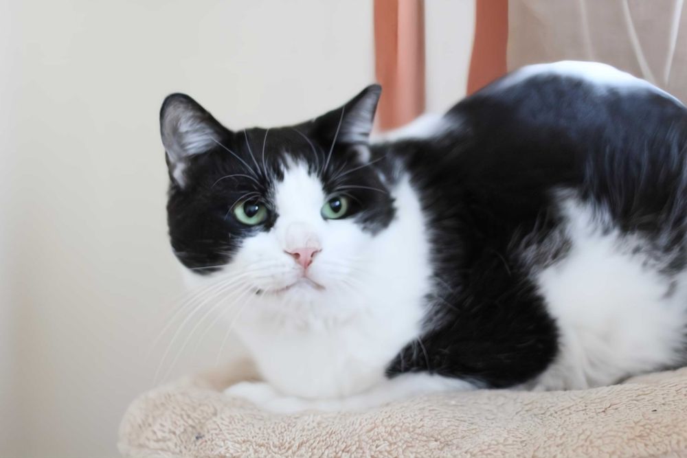 Izydor jest już gotowy na podróż życia, może właśnie z Tobą?