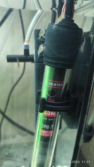 Аквариум , креветки , растения