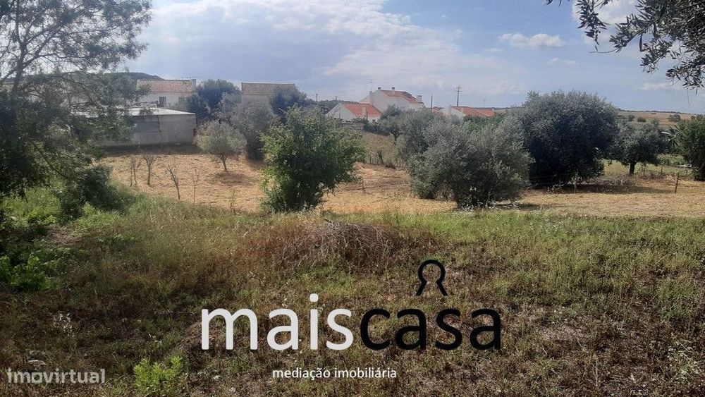 Lote Urbano com Árvores !