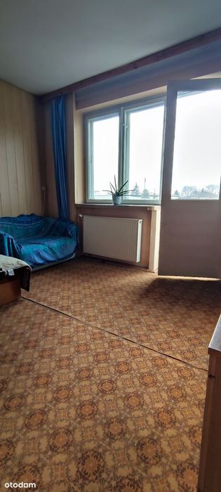 Dom z ogródkiem w centrum miasta.