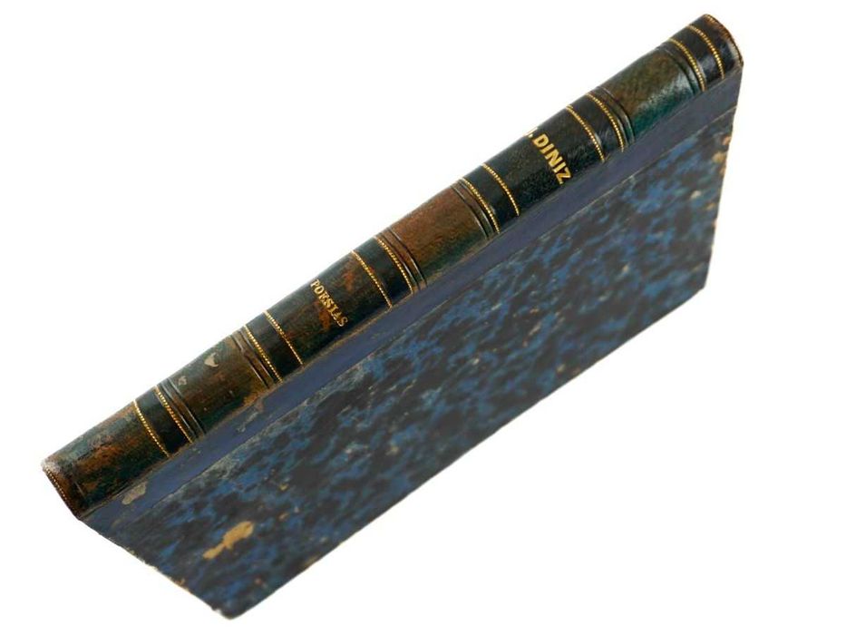 Júlio Diniz (1874)  Poesias. Primeira edição